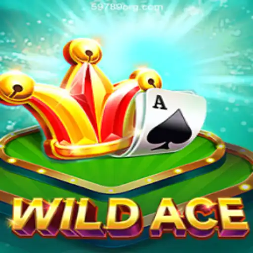 Discovering WildAce: The Ultimate Online Casino Experience